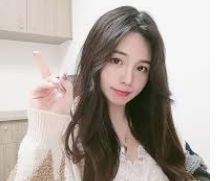 公司资料展示